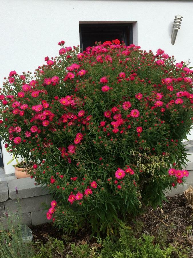 Gasthof Waldrast Zell am Ziller Exterior foto